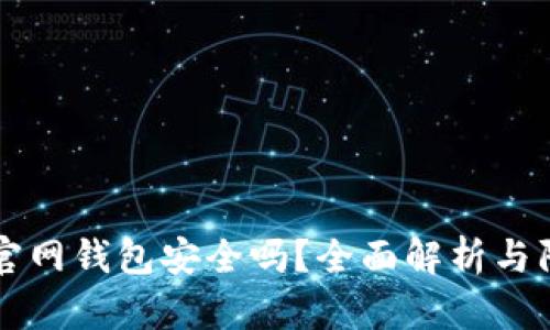 比特币官网钱包安全吗？全面解析与防护指南